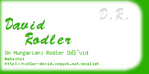 david rodler business card